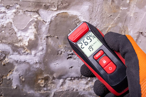 Trusted Crete, NE Mold Remediation Experts
